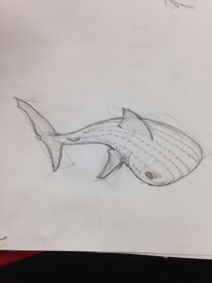 a pencil drawing of a fish on paper