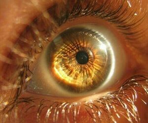 an extreme close up view of the iris of a person's eye