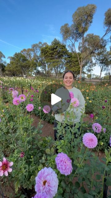 a woman standing in a field full of pink flowers