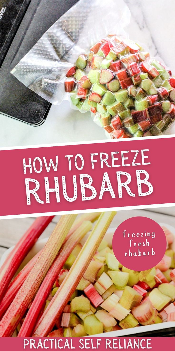 how to freeze rhubarb