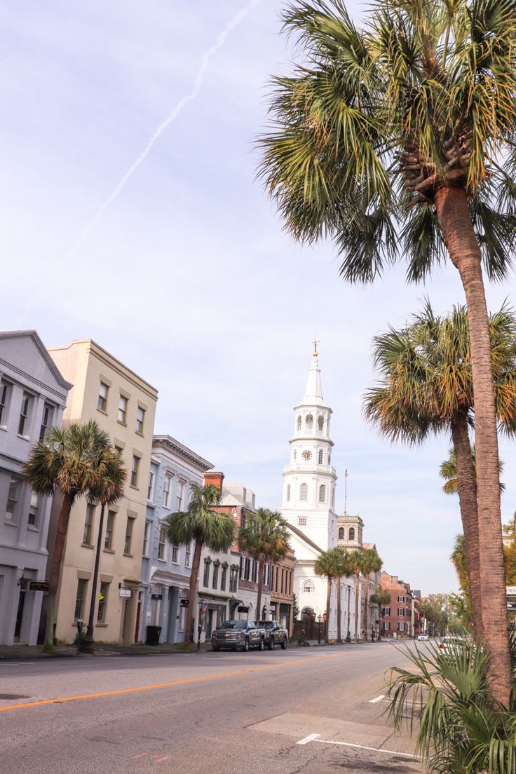 palm trees line the street in front of buildings and a white steeple with a clock on it