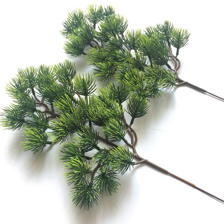 PRICES MAY VARY. Pine tree old language: Tough and noble character, the symbol of longevity, it also symbolizes perseverance and evergreen spirit. Total high 15". Material: plastic. Brand New and high quality. Faux pine branches can be a gorgeous decor for Christmas, party, cafes, home and many other occasions. No extra care needed, washable. If the leaves fall off, they can be inserted back in the stems without glue. Artificial Flower are perfect for decorating wedding party, your home and gard Craft Office, Jul Diy, Artificial Branches, Pine Leaf, Events Decor, Fake Trees, Pine Branches, Greenery Garland, Tree Wall Decor