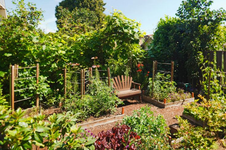 a garden with lots of different types of plants and trees around it, including an outdoor bench