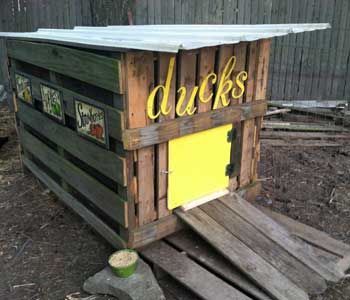 a chicken coop made out of pallets with the word ducks painted on it