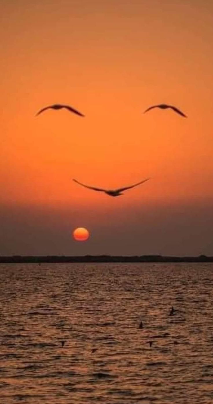 birds flying over the water at sunset with an orange sun in the sky behind them