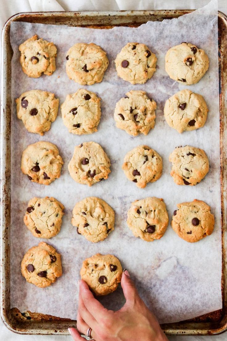 chocolate chip cookies on a baking sheet ready to be baked in the oven and eaten