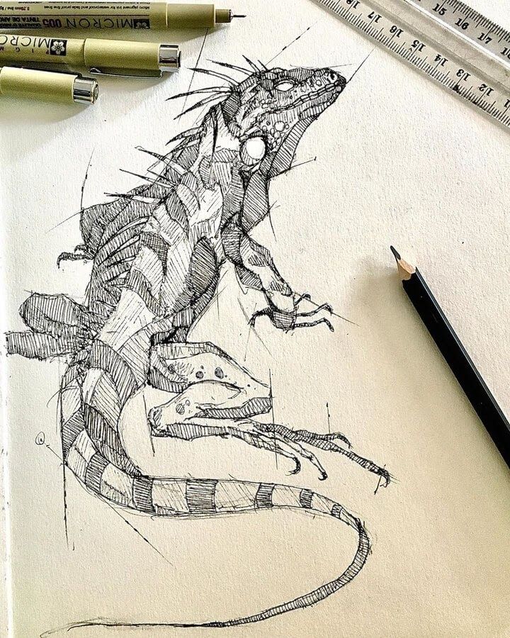 a pencil drawing of a lizard sitting on top of a piece of paper