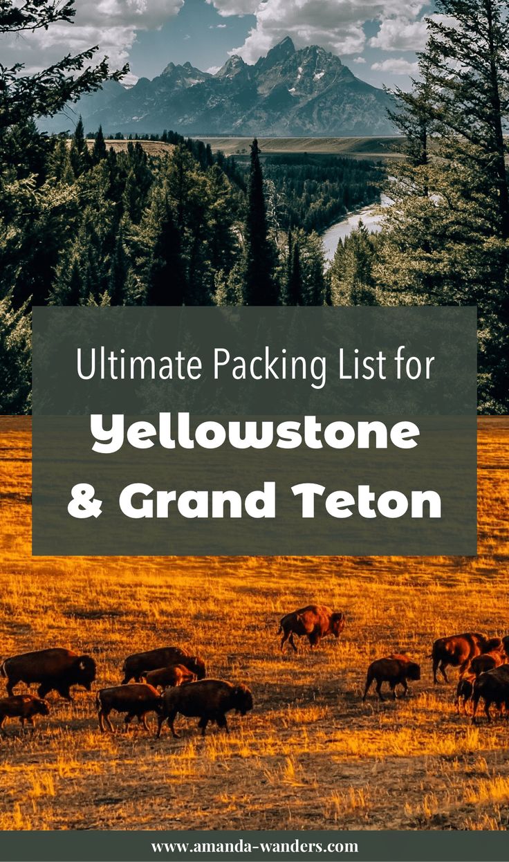 Yellowstone Packing List, Jackson Hole Summer, Yellowstone Vacation Planning, Hike Outfit, National Parks Road Trip, Yellowstone National Park Vacation, Wyoming Vacation, Yellowstone Vacation, Yellowstone Trip