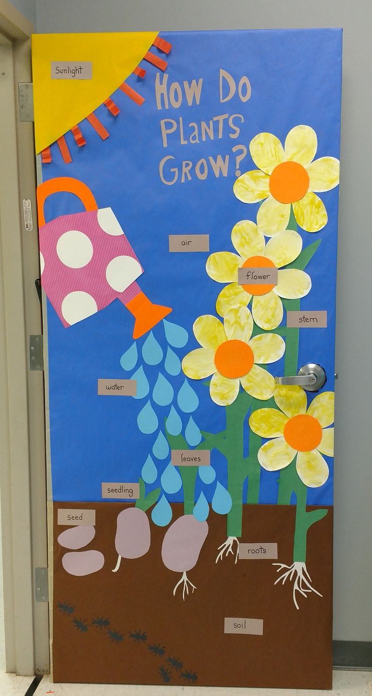 a door decorated with flowers and raindrops in the ground, labeled how do plants grow?