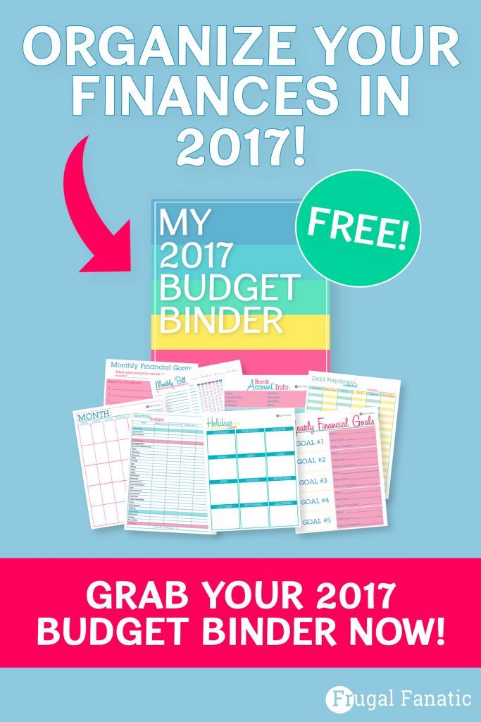 the budget binder with text that reads organize your finance in 2017