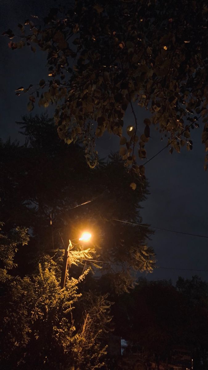 the street light is lit up in the dark sky above some trees and bushes at night