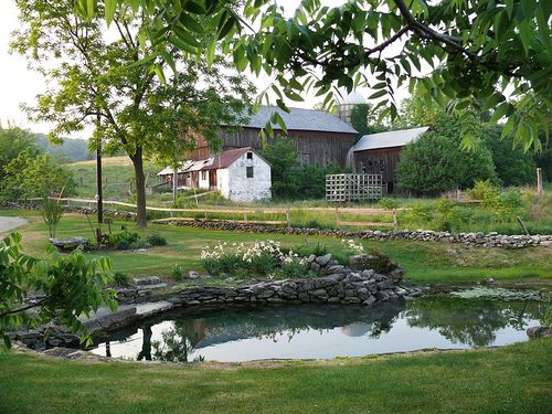 a small pond in the middle of a grassy area next to a barn and trees