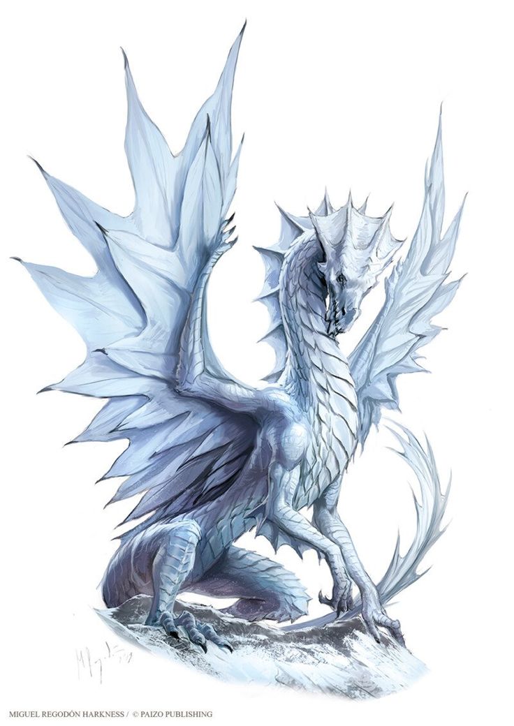 a drawing of a white dragon sitting on top of a rock with its wings spread