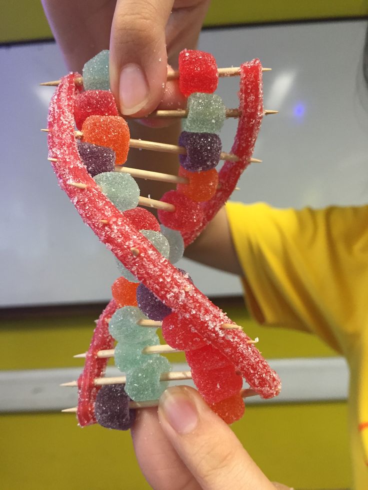 a person is holding up a candy lollipop skewer with gummy bears on it