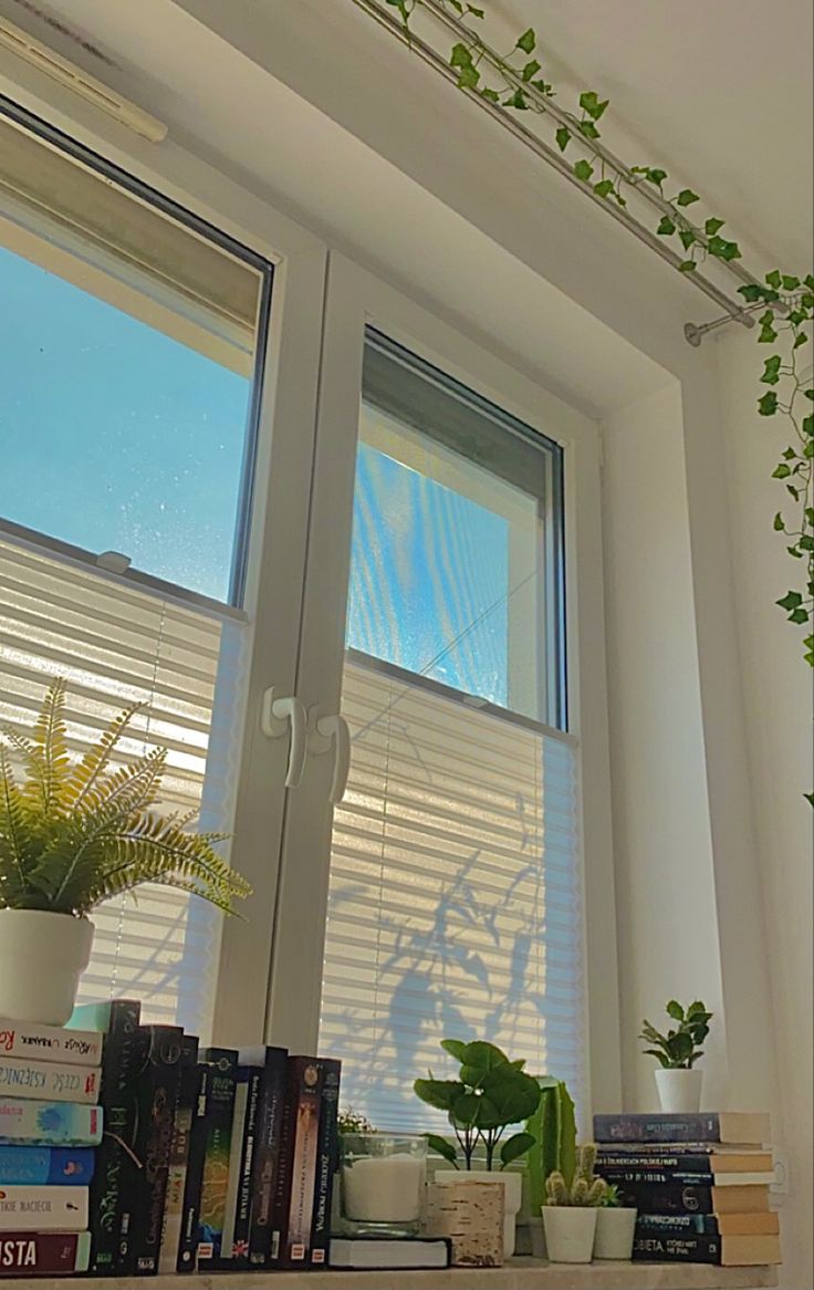 a window sill filled with books and plants