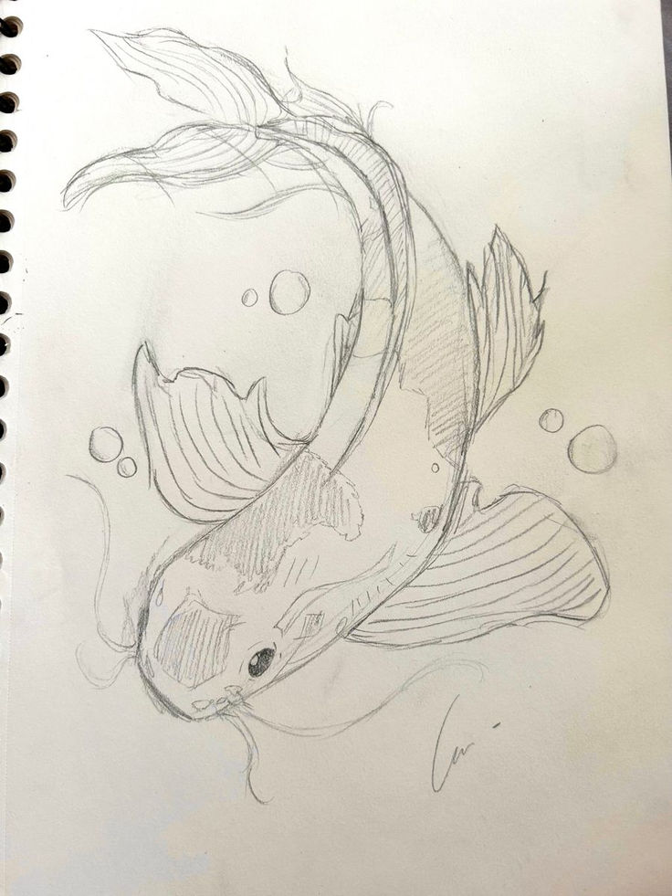 a drawing of a koi fish with bubbles coming out of it's mouth