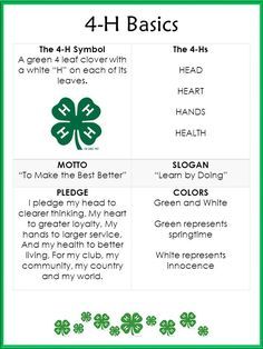 four - h basics for st patrick's day, including shamrocks and irish symbols