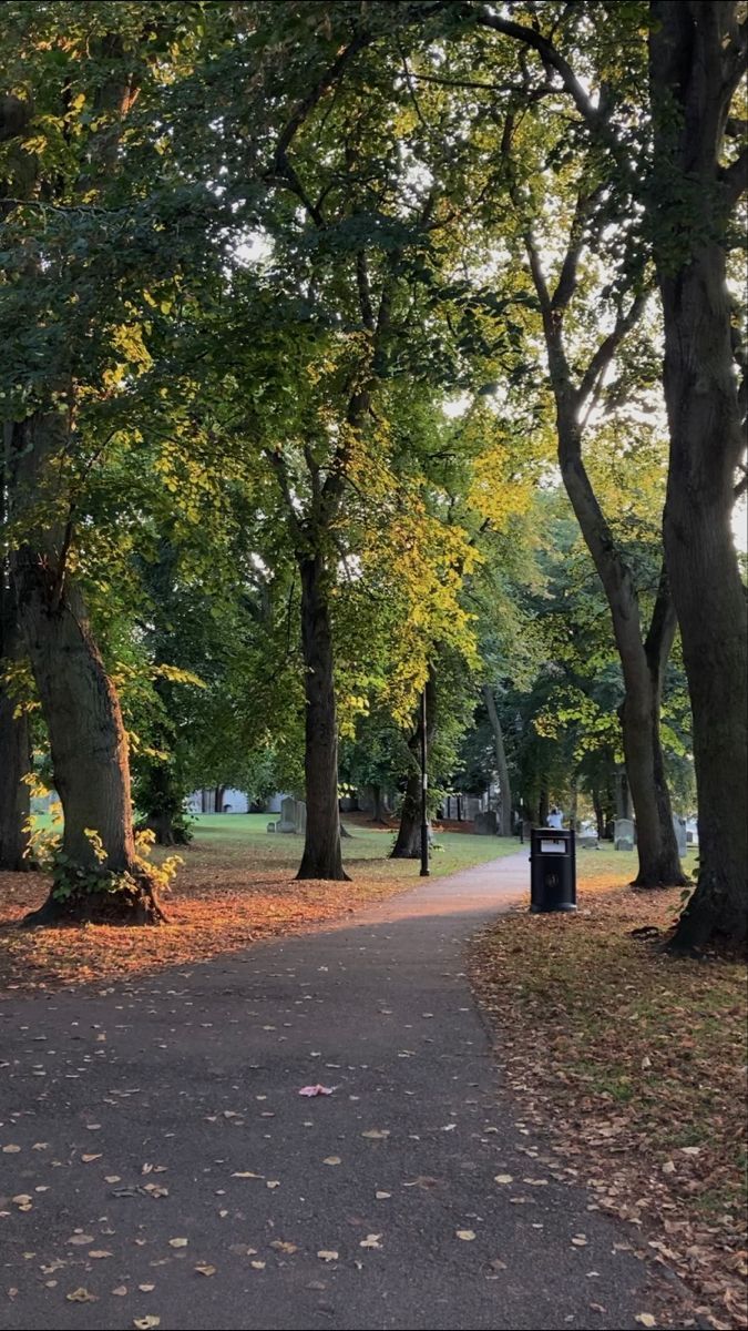 an empty path in the middle of a park with lots of trees and leaves on it