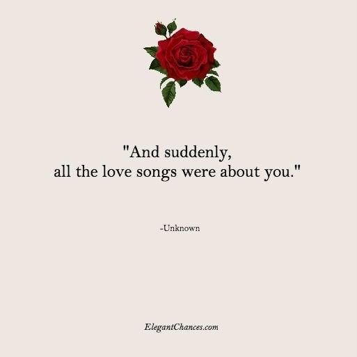 a red rose with the words, and suddenly, all the love songs were about you