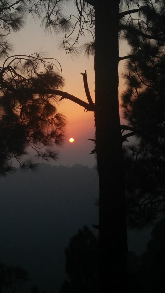 the sun is setting behind some trees