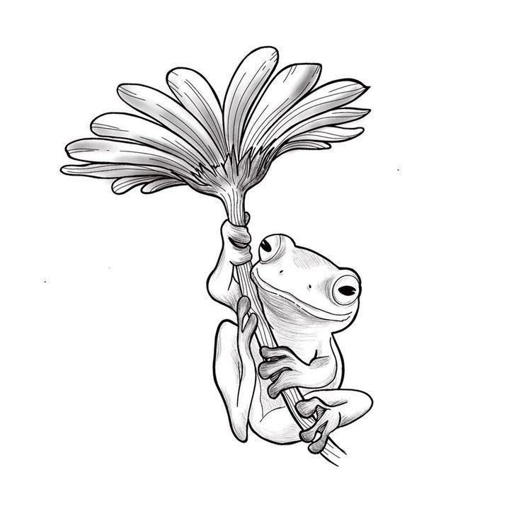 a drawing of a frog holding onto a flower