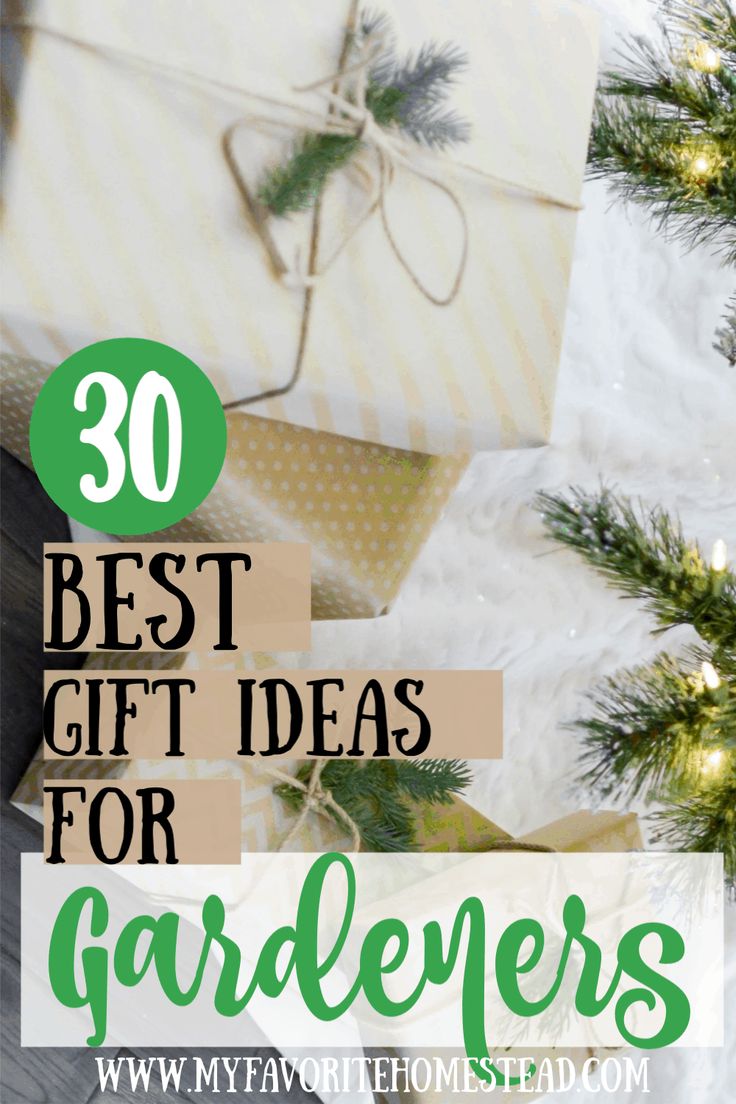 Check out this list of 30 BEST gift ideas for gardenersWhether a gardener or homesteaderthey will appreciate the thought behind these practical gift ideasSometimesyou just need an idea for that hard-to-buy-for person and this list has you coveredpresentsforhim practicalgiftideas giftideasgardeners giftforgardeners gardening Homesteading Checklist, Gifts For Homesteaders, Homestead Christmas, Gift Ideas For Gardeners, Homestead Tips, Homestead Lifestyle, Homestead Gardening, Gardener Gifts, Gifts For Gardeners