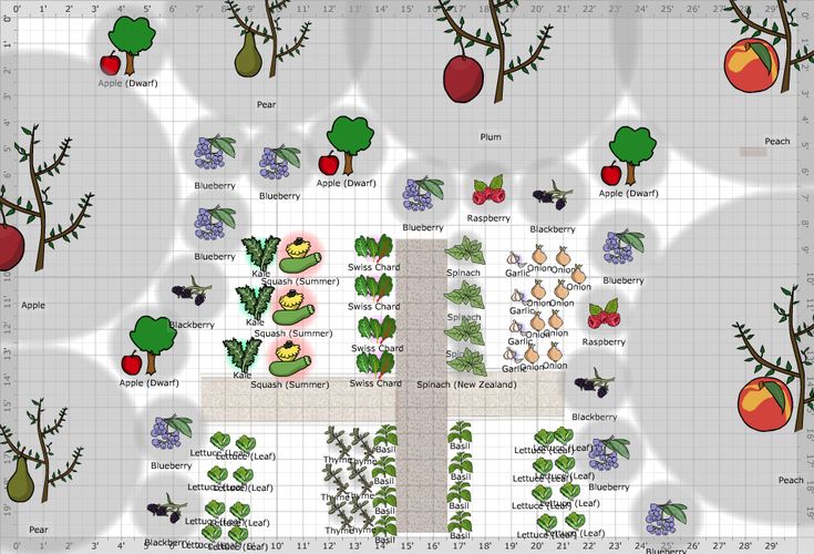 an illustrated garden plan with various plants and fruits on it, including apples, pears,