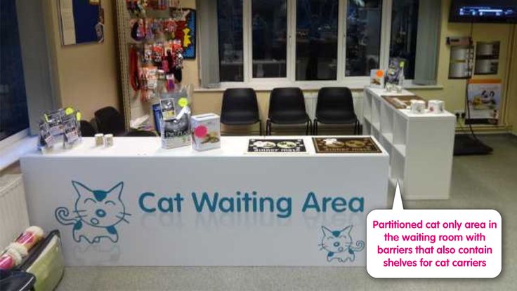 a cat waiting area with chairs and tables in the background, for customers to sit at