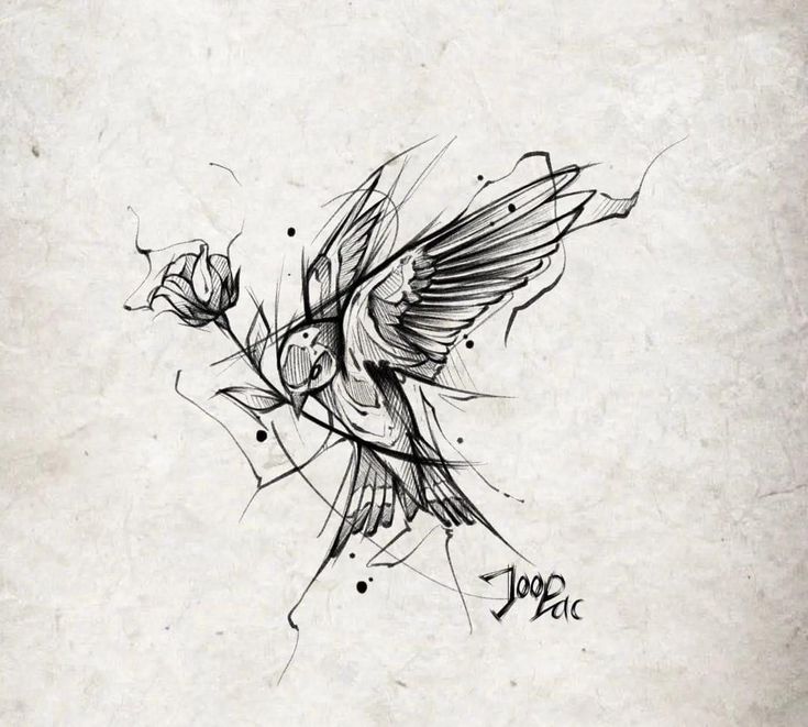 a drawing of a bird with flowers on it's back and wings flying in the air