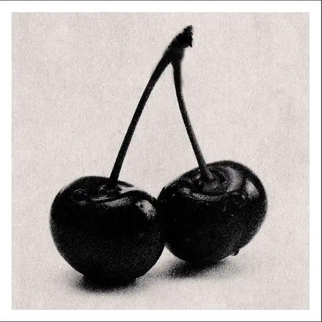 two black cherries sitting on top of each other