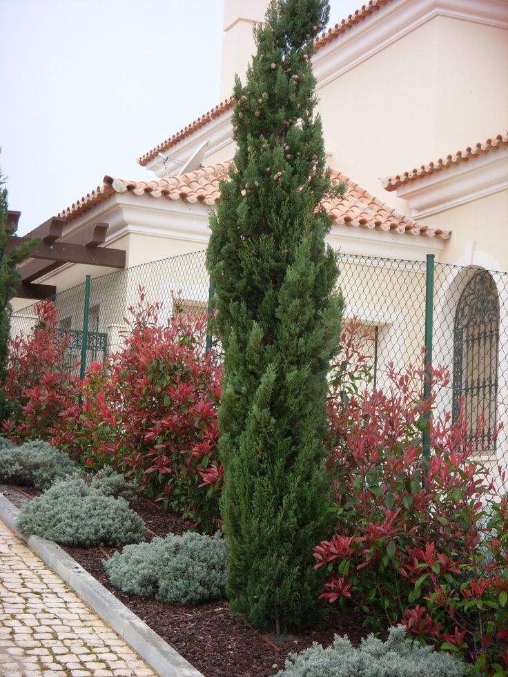 some very pretty bushes and trees in front of a house