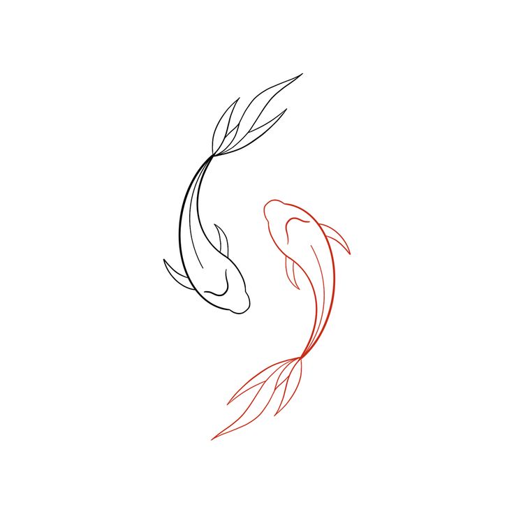 a drawing of a koi fish on a white background