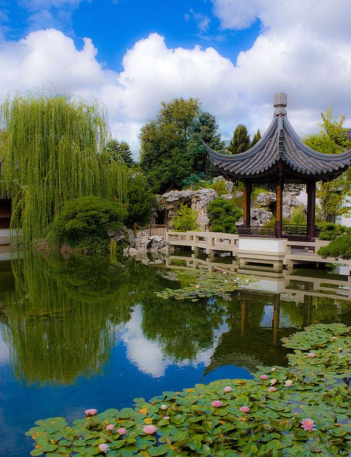 a pond with lily pads and a pavilion in the background