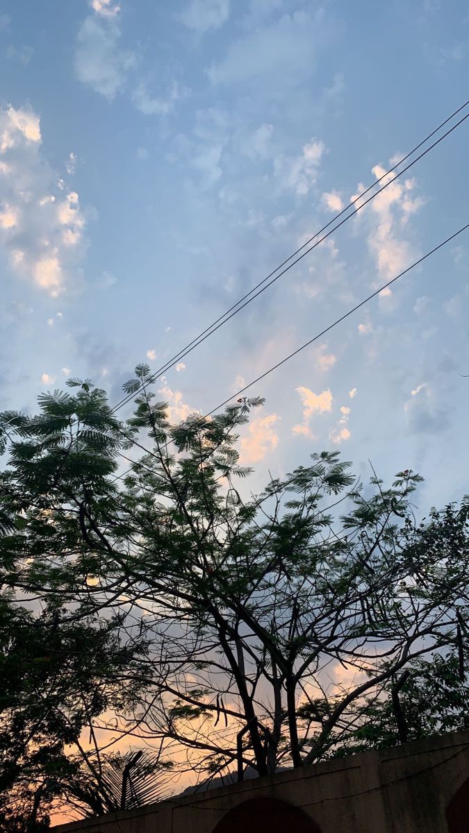 the sky is very cloudy and there are trees in front of it with power lines above