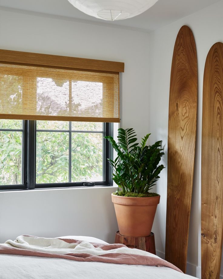 a bedroom with two surfboards and a plant in the corner