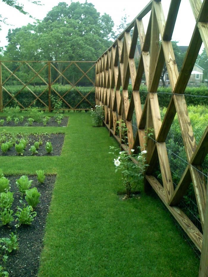 an image of a garden with wooden trelliss on the side and green grass