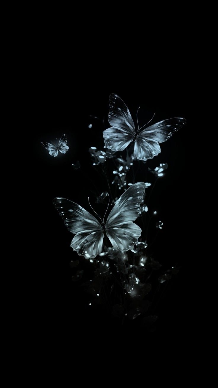 three butterflies flying in the dark with their wings spread out and one is on top of another