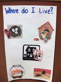 a bulletin board with pictures and magnets on it that says where do i live?