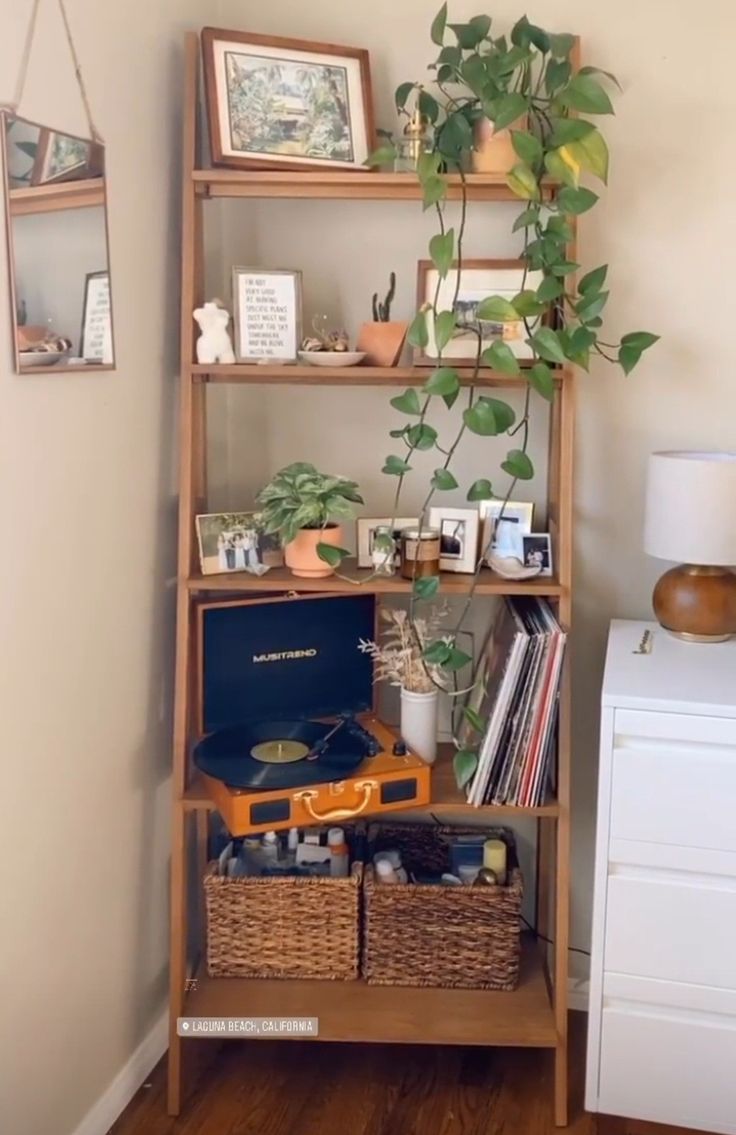 a bookshelf with plants and other items on it in a room next to a dresser