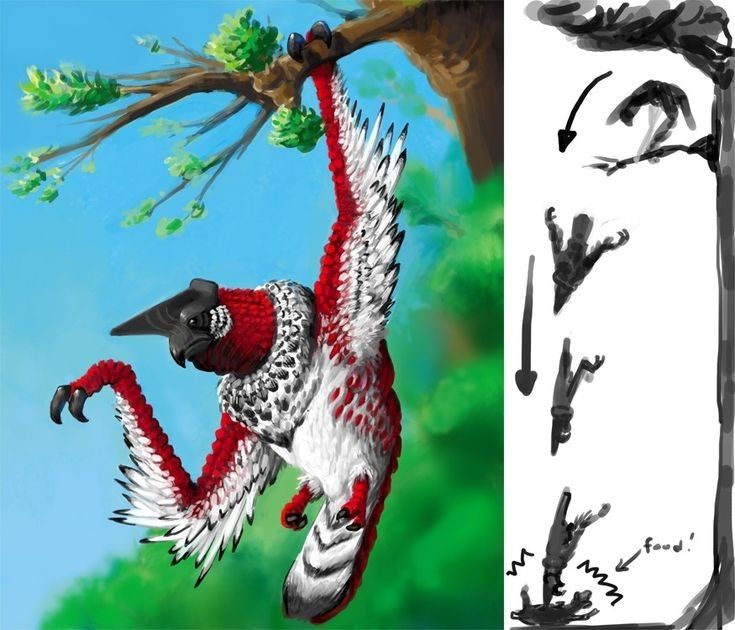 an artistic painting of a bird on a tree branch and another drawing of a bird in flight