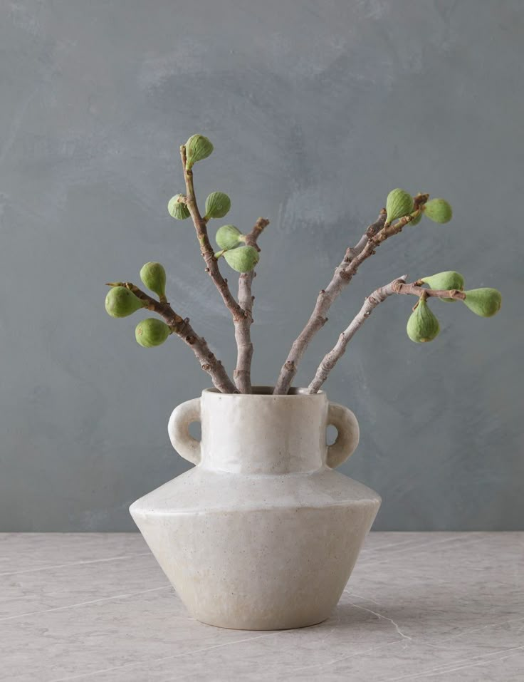 a white vase filled with green leaves and branches on top of a marble table next to a gray wall