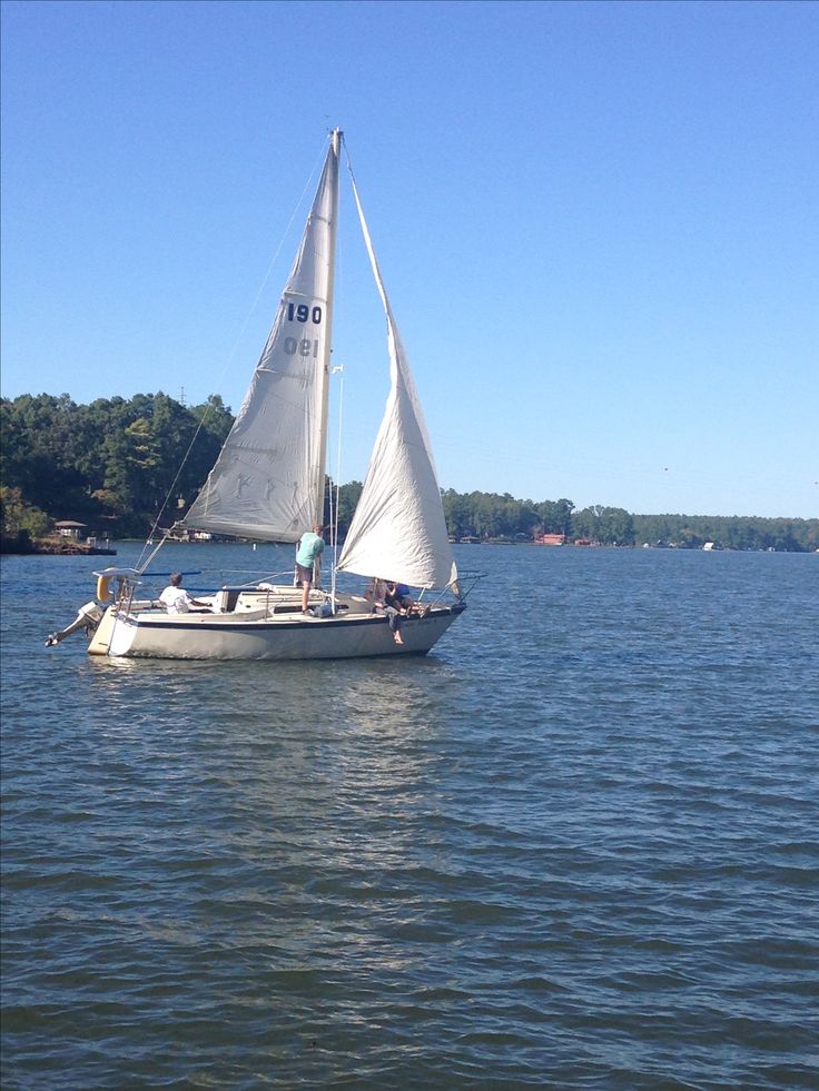 a sailboat with white sails is in the water on a sunny day near some trees