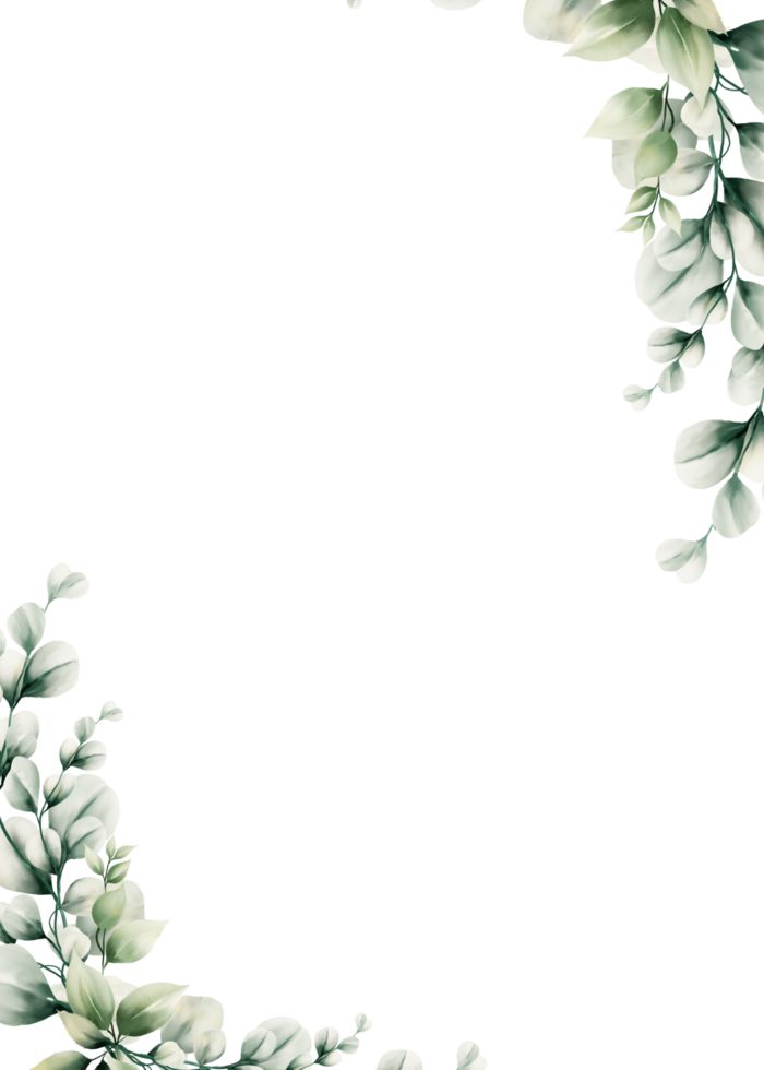 a white background with some green leaves on the top and bottom part of it, as well as an empty space in the middle