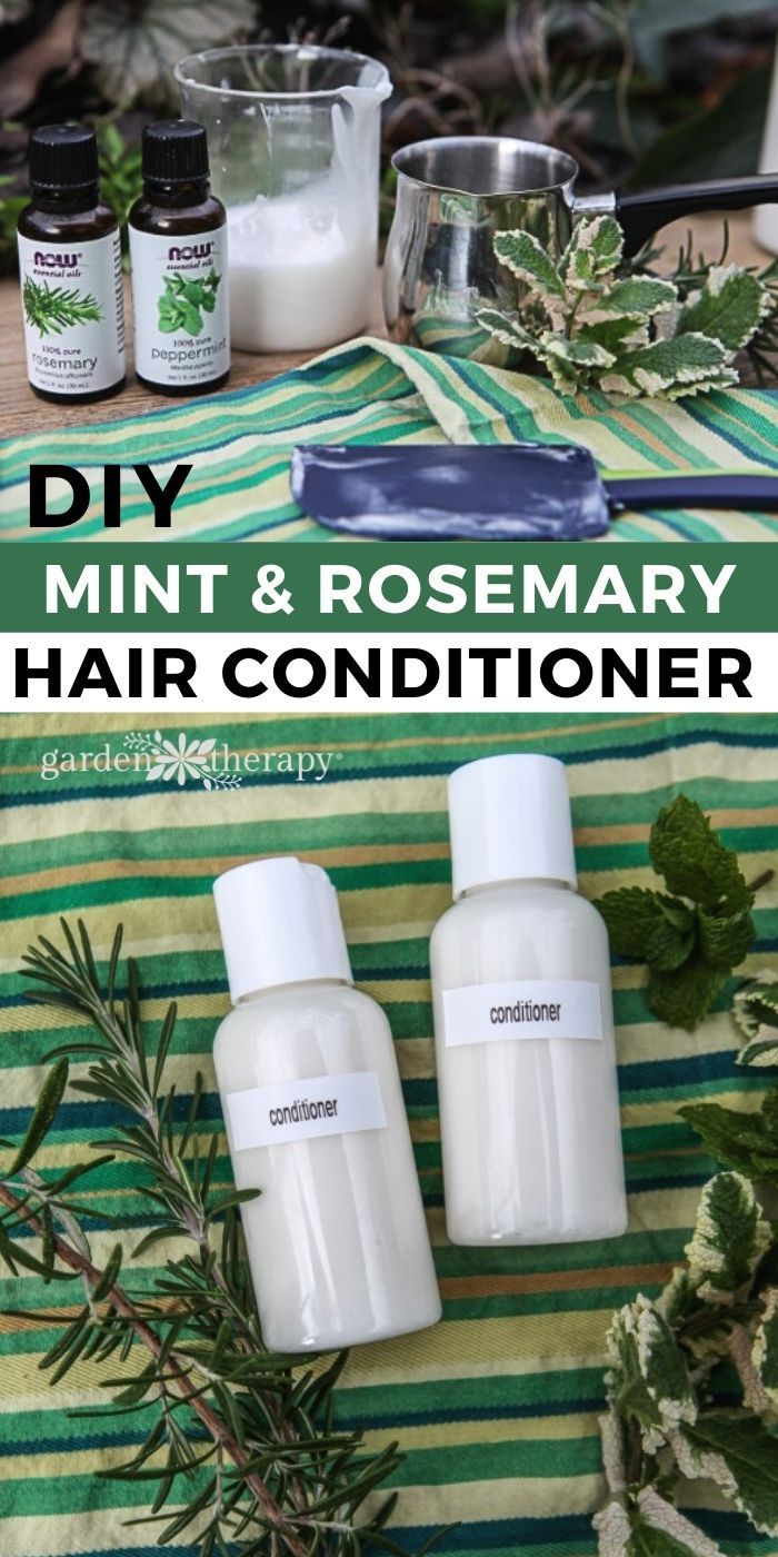 Rosemary Conditioner Diy, Natural Shampoo Recipes For Oily Hair, Homemade Natural Conditioner, Diy Color Safe Shampoo, Make Your Own Shampoo And Conditioner, Diy Conditioner Recipe, Natural Hair Conditioner Homemade, Rosemary Shampoo Diy, Diy Hair Lotion