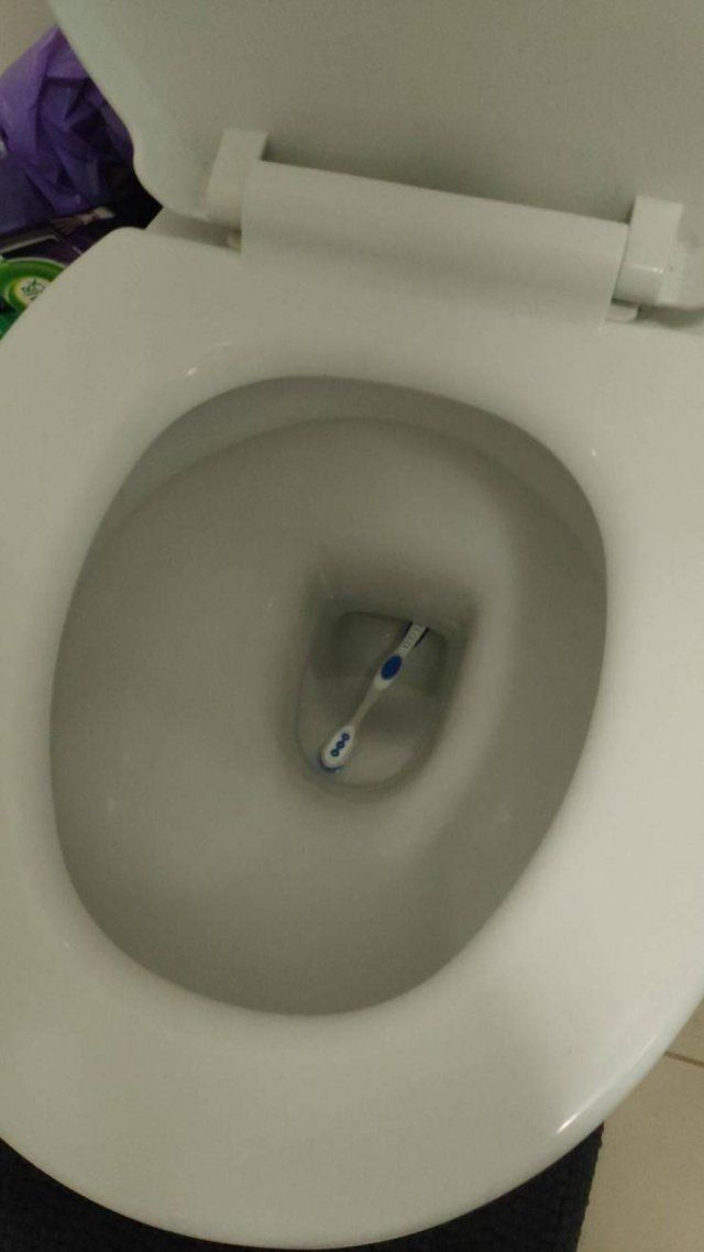 a white toilet bowl with a toothbrush in it