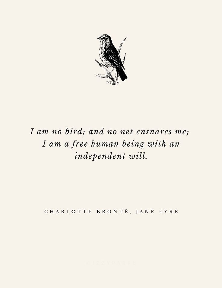 a bird sitting on top of a tree branch next to a quote from charlotte brontel