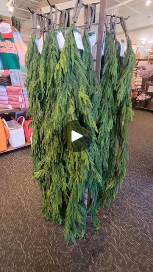 a display in a store filled with lots of green plants and clothes hanging from hooks