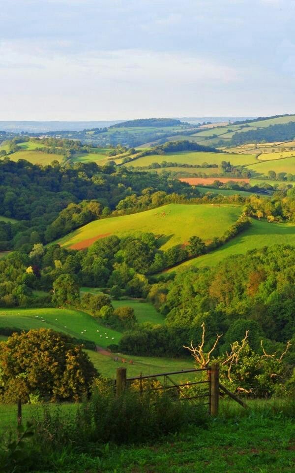 the rolling hills are green and lush with trees