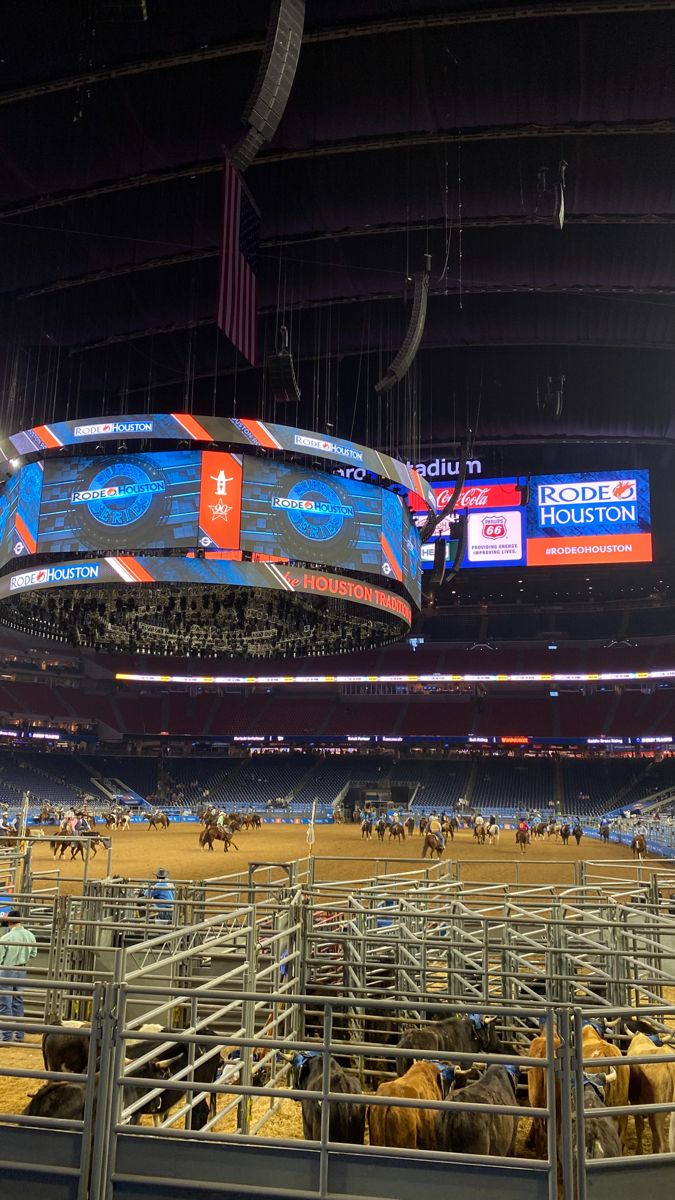 an arena filled with cattle inside of a stadium