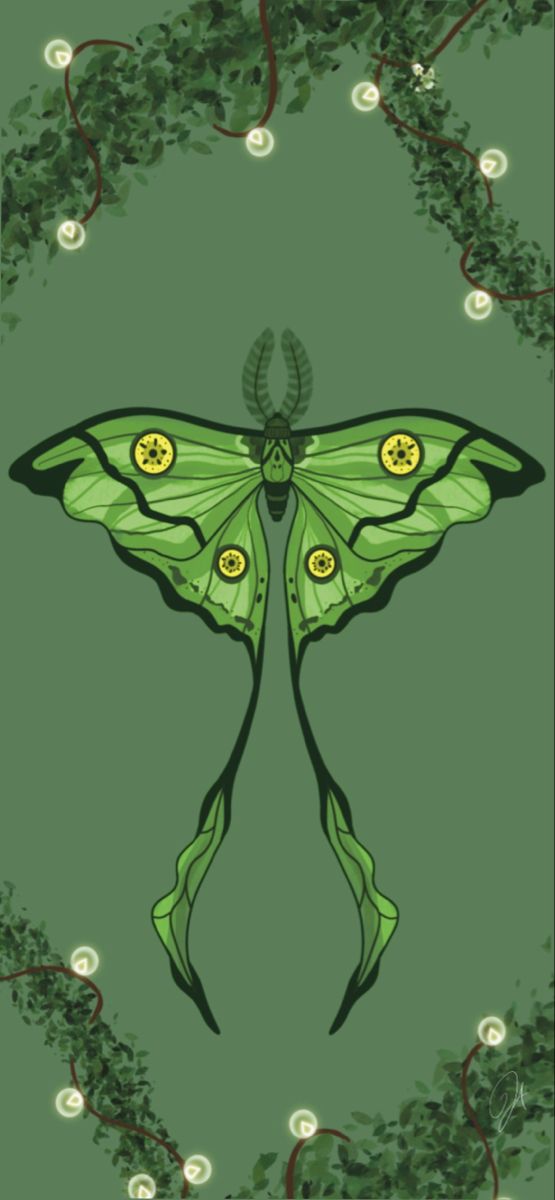 a green butterfly with yellow eyes on it's wings and some leaves around it